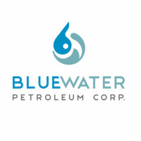 Blue Water Petroleum Corp (US Trading Symbol: BWPC) logo - Similar company to Vogon Cloud