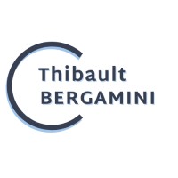 Thibault Bergamini logo - Similar company to Monarch Intelligence