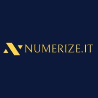 Numerize.IT logo - Similar company to Neexium Digital