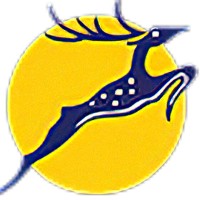 Daily Pioneer logo - Similar company to Anjaney Vastu