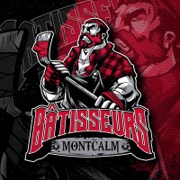 Bâtisseurs de Montcalm logo - Similar company to Web-Icom Solutions Inc