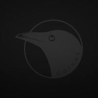Corvus logo - Similar company to High Tech Vision
