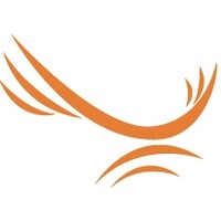 Sonic Eagle