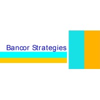 Bancor Strategies