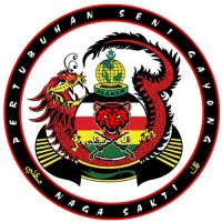 Naga Sakti Malaysia logo - Similar company to Lestari Junior Fc