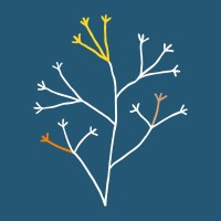 AldaZia logo - Similar company to Adi Bide