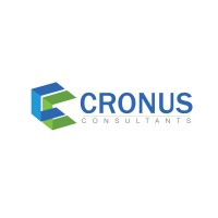 Cronus Consultants India logo - Similar company to Riz Software Technologies Private Limited