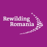 Rewilding Romania logo - Similar company to Voicing The Void