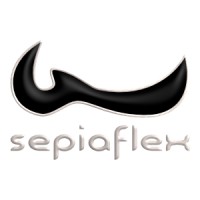 sepiaflex logo - Similar company to Skyazur