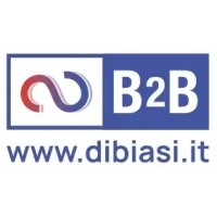 B2B SRLS Materiale Elettrico - Ingrosso e Dettaglio - dibiasi.it logo - Similar company to Thevotech - Techealthvolution Srl