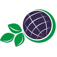 GeoMonitoring Services