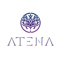Atena - Consultoria Educacional E Memória Empresarial