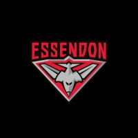 Essendon Football Club logo - Similar company to West Coast Eagles