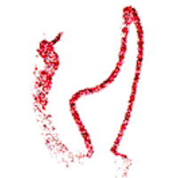 Andberg Consulting Ltd logo - Similar company to Gkcoms Consulting