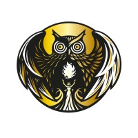 Magicowl logo - Similar company to Studio Zorse
