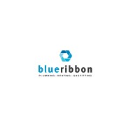 Blue Ribbon Plumbing Heating & Gasfitting logo - Similar company to Jnl Mechanical Ltd.