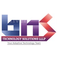 BNS Technology Solutions LLLP logo - Similar company to Techpeople Consulting