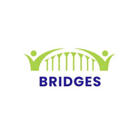 BRIDGES CONSULTING CR logo - Similar company to Boyle Software