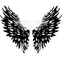 Amon Le’Noir