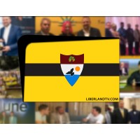 Liberland TV logo - Similar company to Federal Republic Of Lostisland
