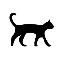 Skinny Cat logo - Similar company to Asset Protection Planners