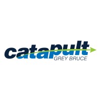Catapult Grey Bruce