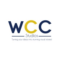 Wise Content Creators Studios logo - Similar company to Wole Institute