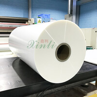 XinLi Industrial Co., Ltd. logo - Similar company to Tauler Laminating Tech