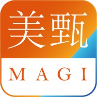 MAGI Associates 美甄咨询 logo - Similar company to Netbase&Co