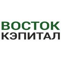VostokCapital logo - Similar company to Vostok