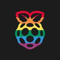 Raspberry Pi logo - Similar company to Micro:Bit Educational Foundation
