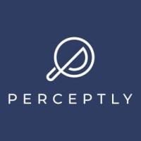 Perceptly logo - Similar company to Praxis Digital