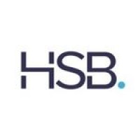 HSB Consultoria logo - Similar company to Zerdin