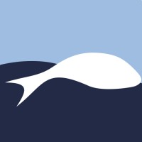 Trout Gmbh