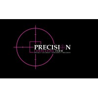 Precision Consulting Firm logo - Similar company to Precision Consulting, Llc