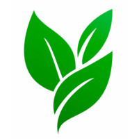 HealthcareNest logo - Similar company to Worktalent Llc