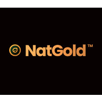 NatGold Digital logo - Similar company to Railveyor