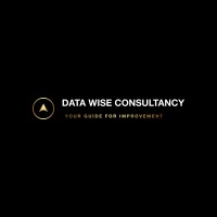 Data Wise Consultancy logo - Similar company to Rva Capabel