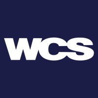 WCS Engineering logo - Similar company to Acqua Saneamento