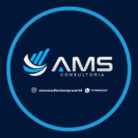 AMS Consultoria Empresarial logo - Similar company to Tá Liso Delivery