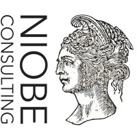 Niobe Consulting logo - Similar company to Overmorrow Consulting