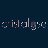 Cristalyse logo - Similar company to Tweet Binder