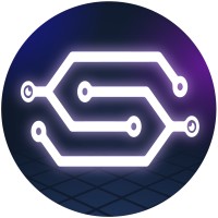 SECUNET VISION logo - Similar company to Paylashpro