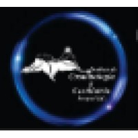 Instituto de Cosmetologia y Cosmiatria Integral S.C. logo - Similar company to Arin Innovation - Colombia