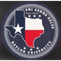 Baylor Fiji logo - Similar company to Skyauction.Com