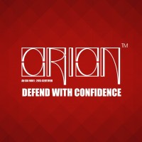 Orion logo - Similar company to Finemaker Design Studio