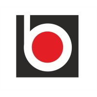 Boro İnşaat Yatırım Sanayi ve Ticaret A.Ş. logo - Similar company to Sekiz Yapı Medya Şti.