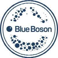 Blue Boson Polska logo - Similar company to Iexplain