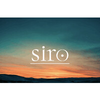 SIRO Mangement Consultancy logo - Similar company to Kaizen Consultancy