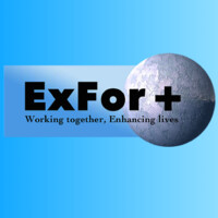 ExFor+ logo - Similar company to Flatstick